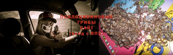 гидра Балахна