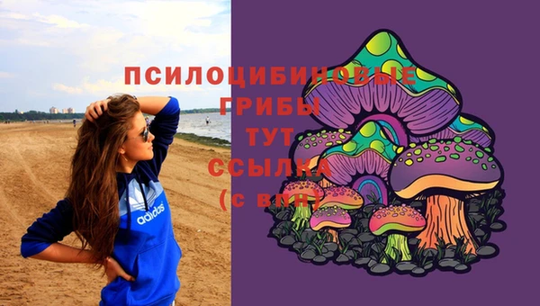 гидра Балахна