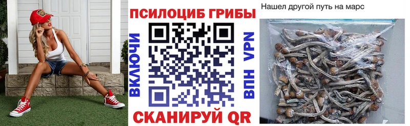 Галлюциногенные грибы MAGIC MUSHROOMS  наркошоп  маркетплейс формула  Лермонтов 